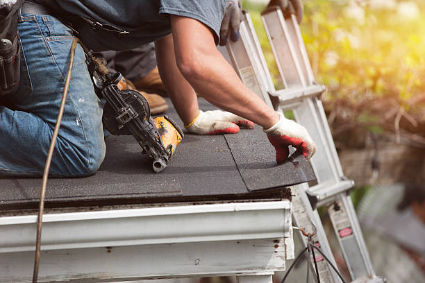 Best Metal Roofing Contractor  in Beach, ND